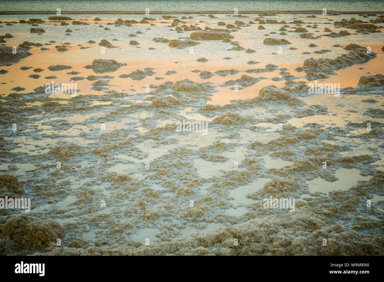 Sonnenuntergang von Salz Formationen im Toten Meer, zwischen Israel und Jordanien Stockfoto