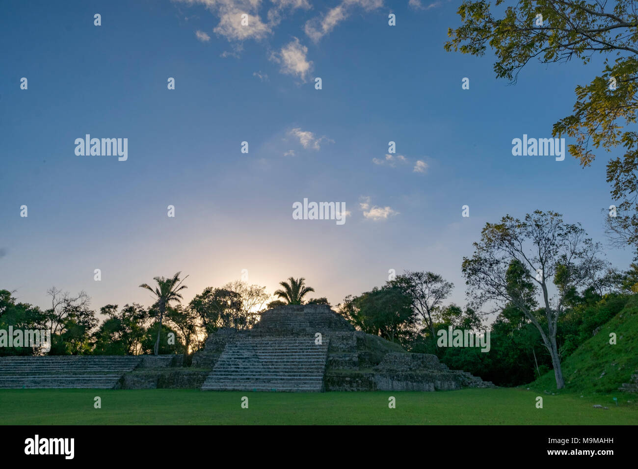 Alten Maya Tempel und Ruinen von Altun Ha Belize Stockfoto