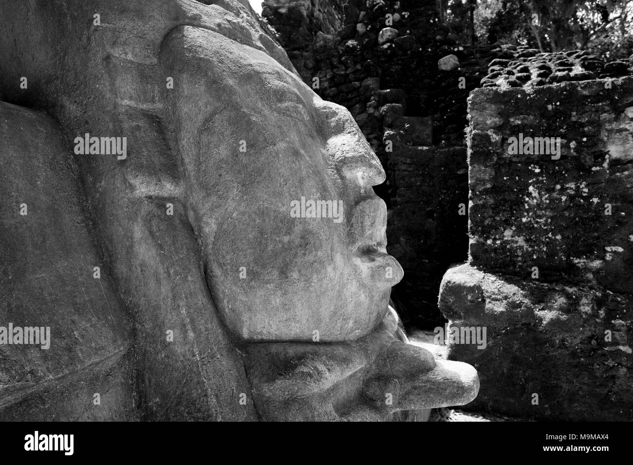 Alten Maya steinerne Maske eines Gottes in den Ruinen von Lamanai in Belize Stockfoto