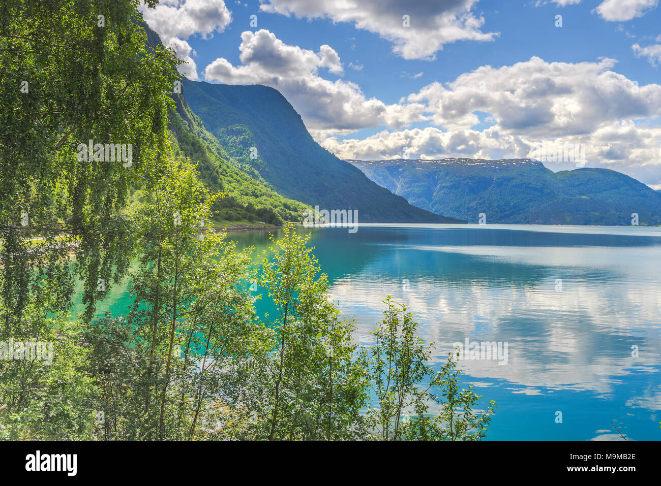 Fjord mit Blau- und Türkistönen, Norwegen, Lustrafjorden Loi, Sognefjorden Stockfoto