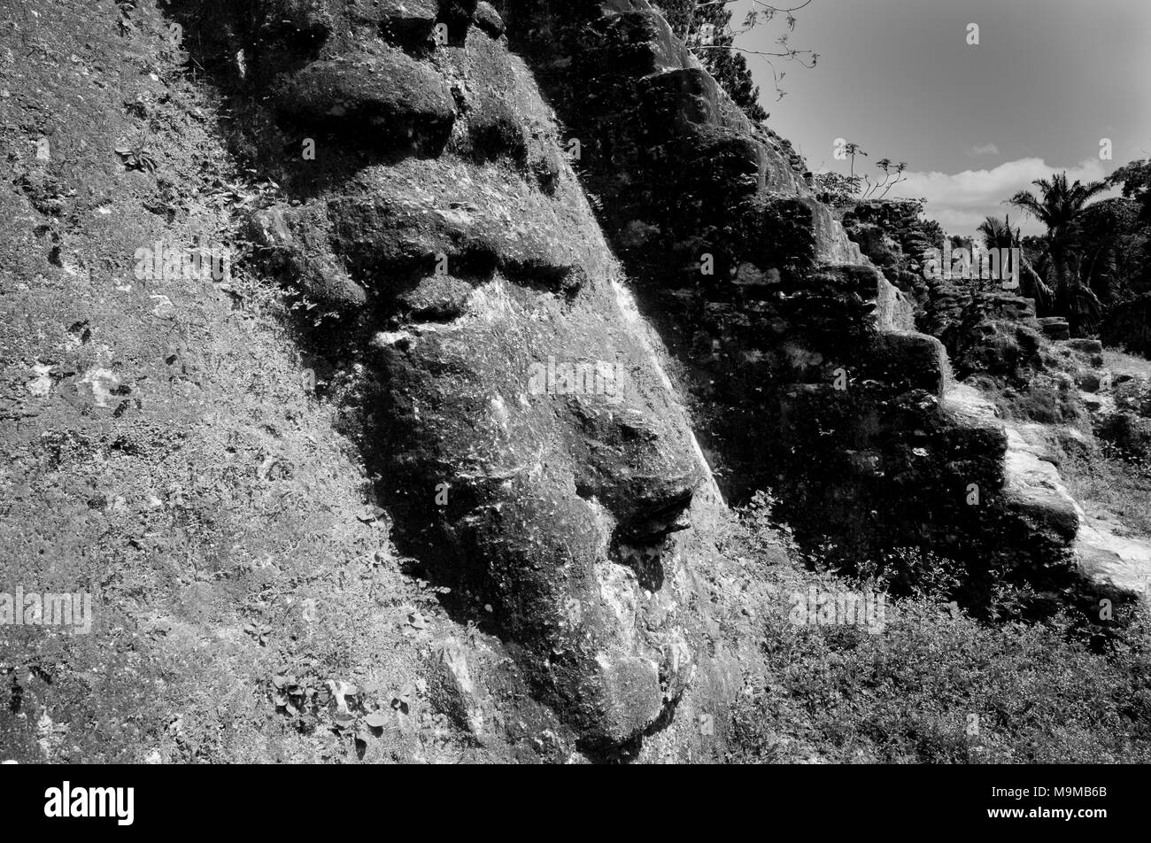 Alten Maya steinerne Maske eines Gottes in den Ruinen von Lamanai in Belize Stockfoto