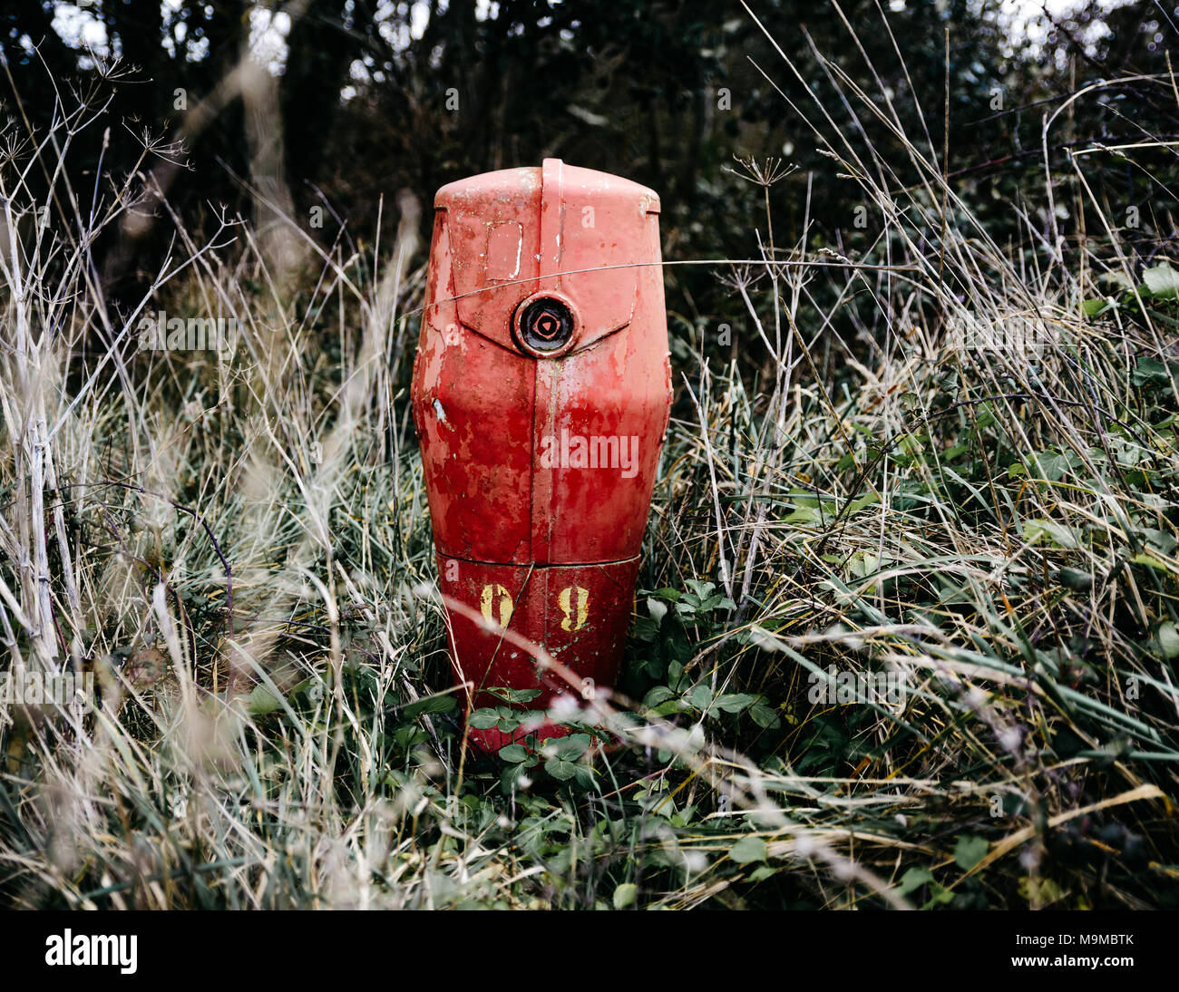 Alte Hydrant in der Landschaft in Frankreich Stockfoto