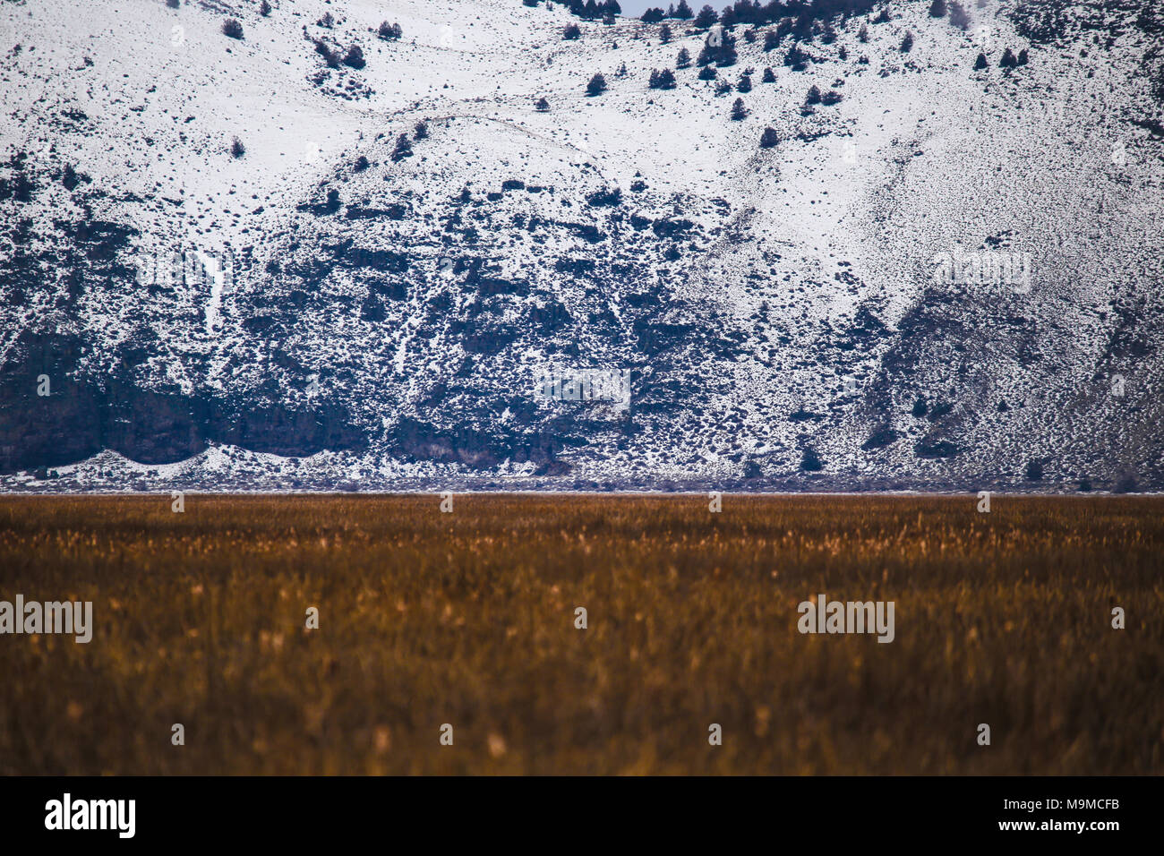 Golden Valley trifft Blau Schneebedeckte Berge Stockfoto