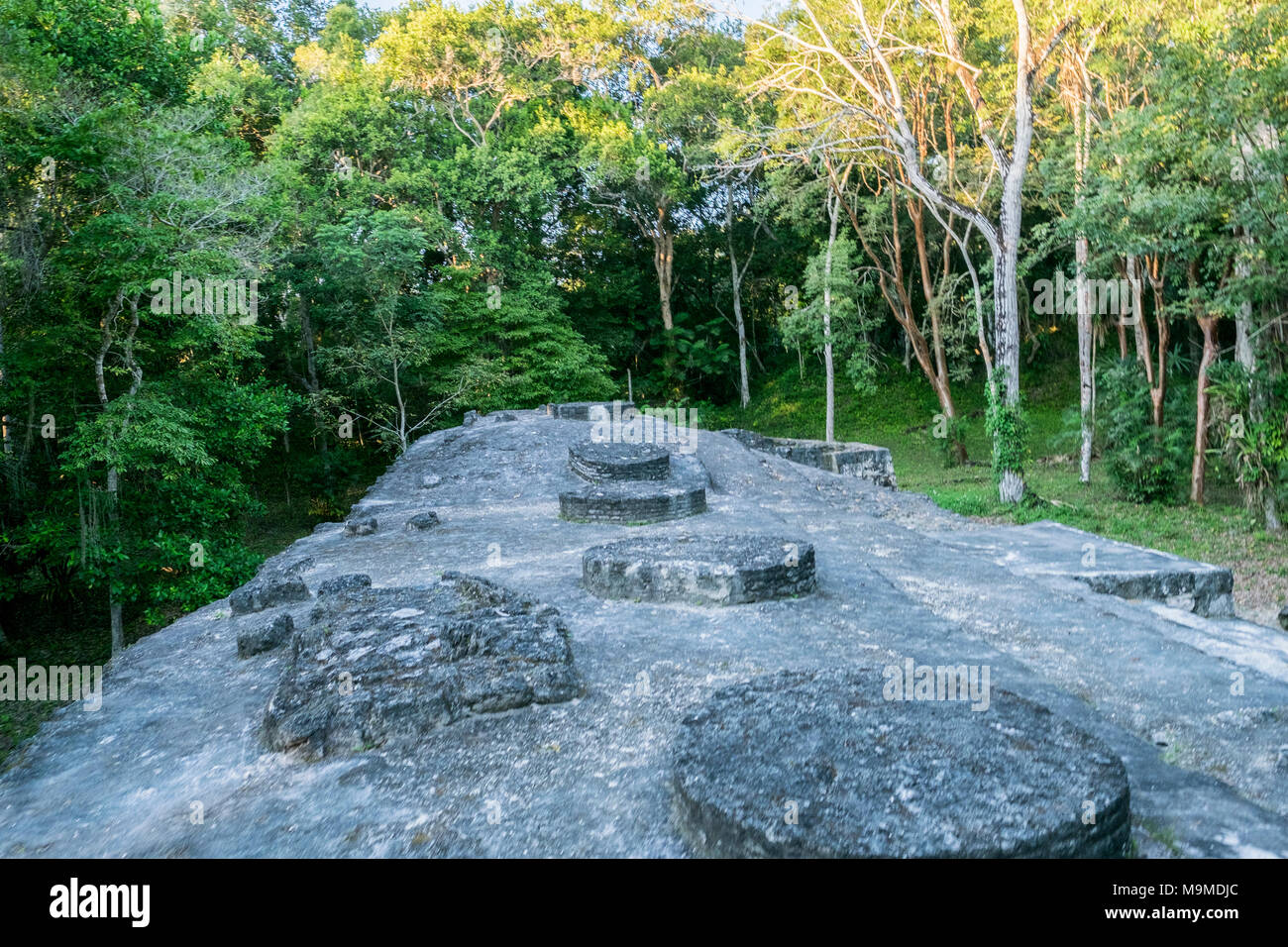 Alte Ruinen der Maya archäologische Stätte in Yaxha, Guatemala Stockfoto