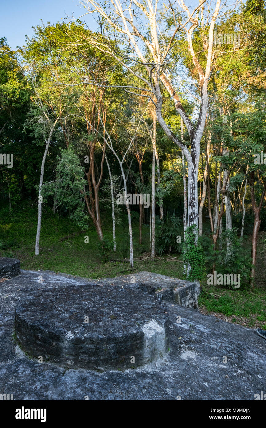 Alte Ruinen der Maya archäologische Stätte in Yaxha, Guatemala Stockfoto