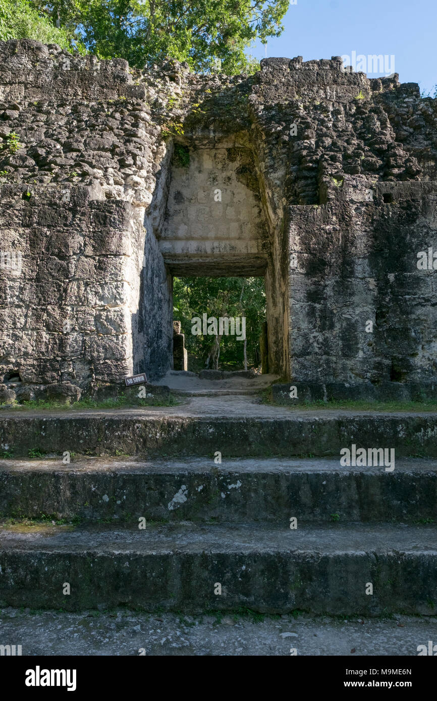 Alten Maya archäologische in Tikal, Guatemala Ruine Stockfoto