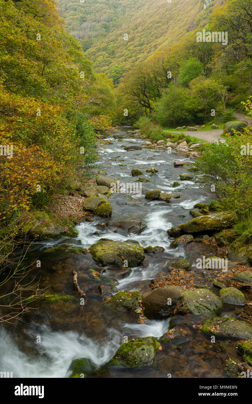 Der Zusammenfluss von Hoaroak Wasser und im Osten an den Fluss Lyn Watersmeet im Nationalpark Exmoor, Devon, England. Stockfoto