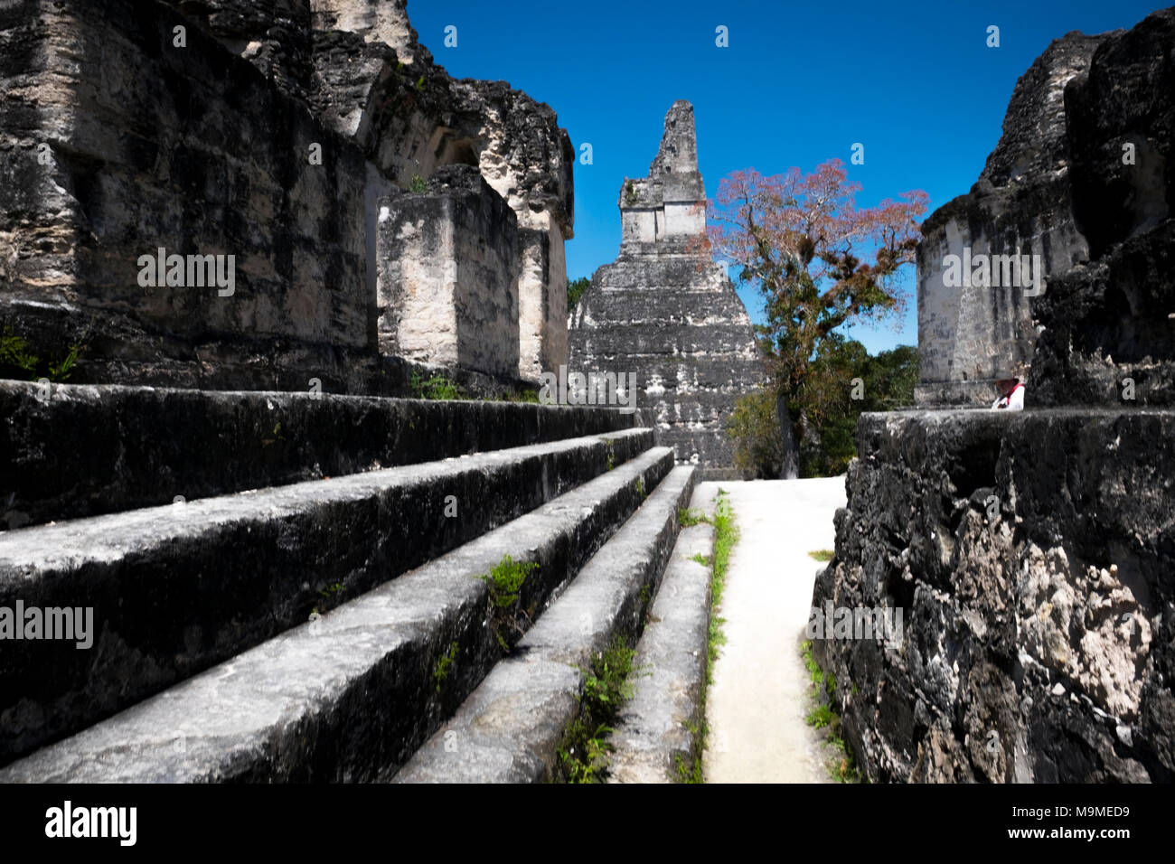 Alten Maya archäologische in Tikal, Guatemala Ruine Stockfoto