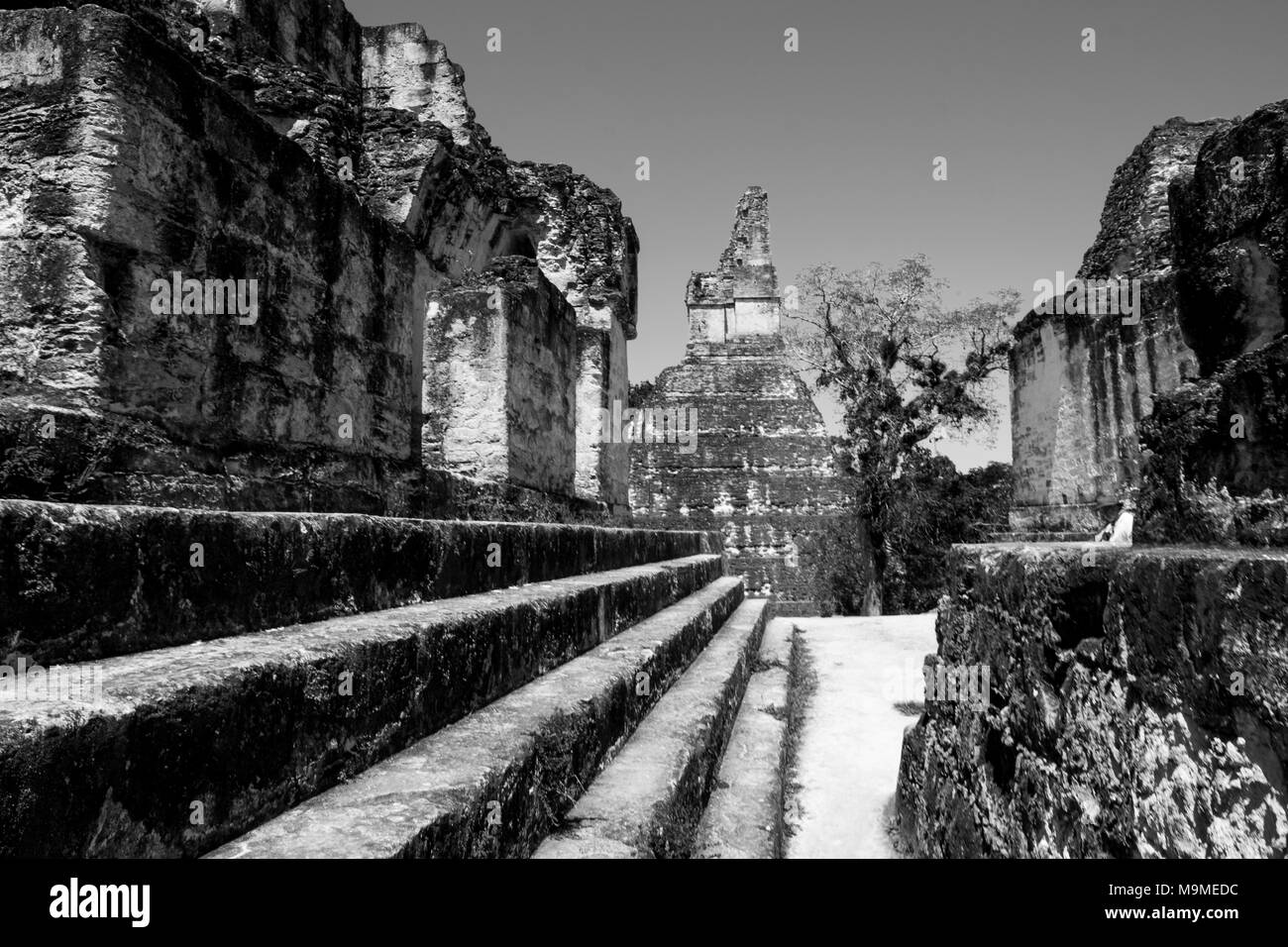 Alten Maya Tempel Komplex in Tikal, Guatemala Stockfoto