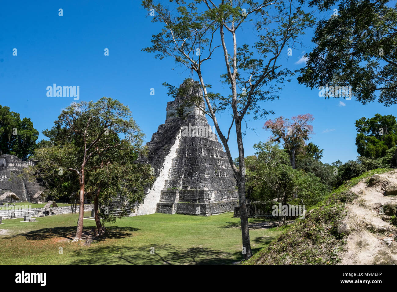 Alten Maya Tempel von Tikal, Guatemala Stockfoto