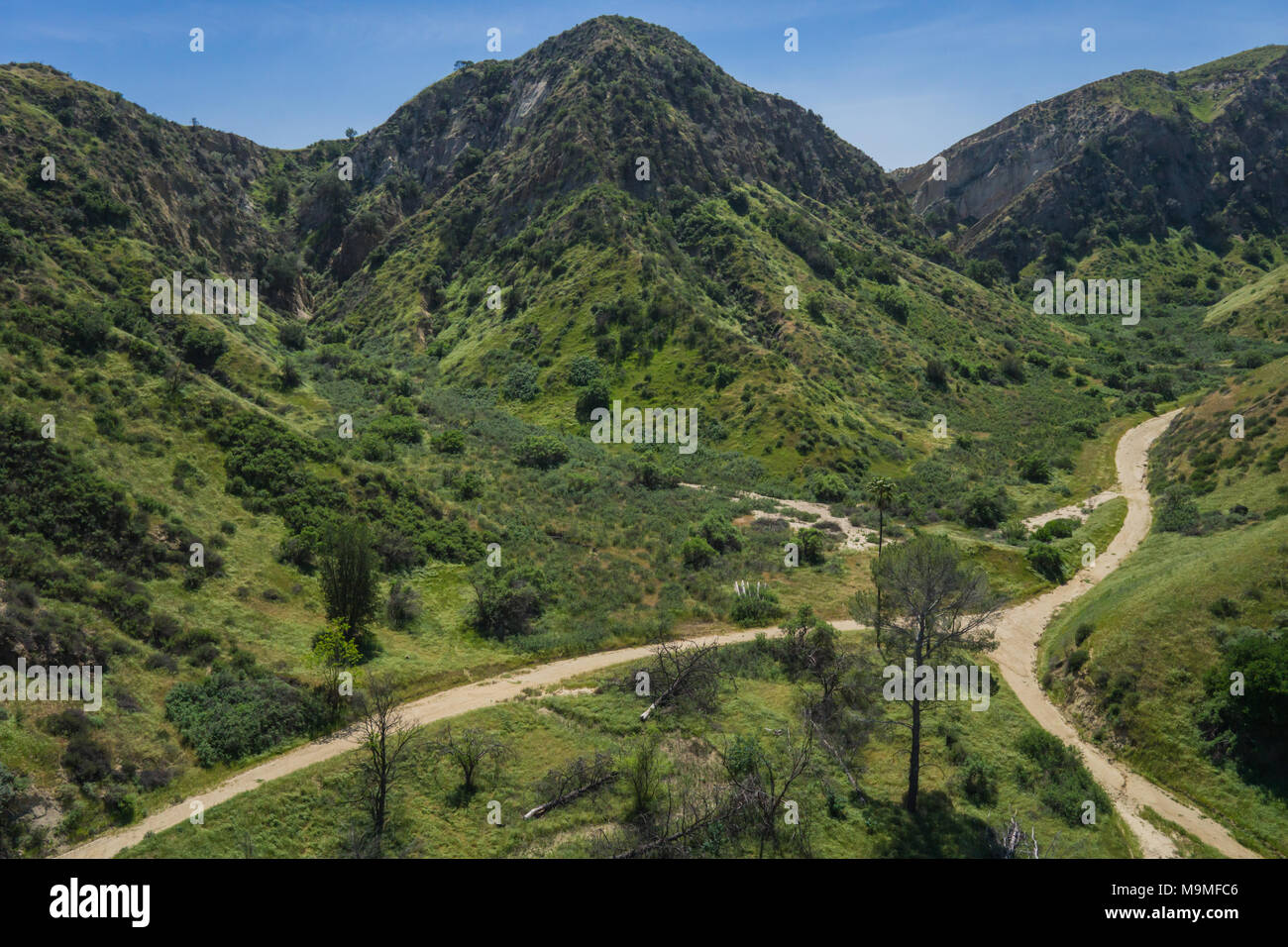 Schmutz Wanderwege kommen zusammen, unter Gras Kalifornien Hügel bedeckt. Stockfoto