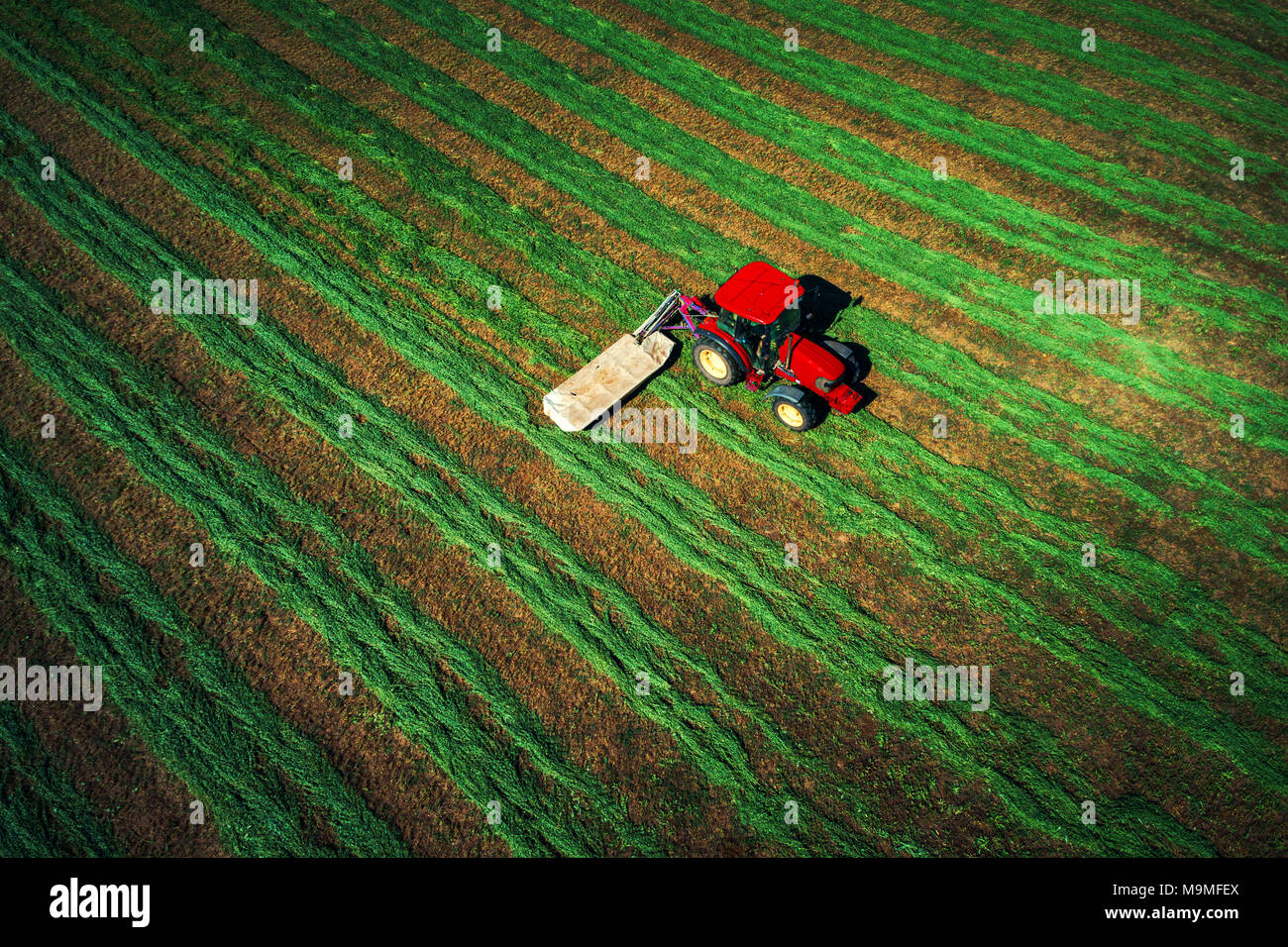 Traktor mähen grünes Feld, Luftbild. Stockfoto