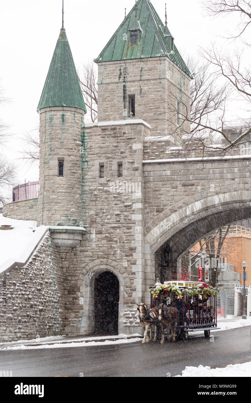 Pferdekutschen- Tour durch Quebec City im Schnee: ein Team der Pferde zieht einen dekorierten Rädern Wagens auf der schneebedeckten Straße durch die St. Louis Tor in der Stadtmauer. Stockfoto