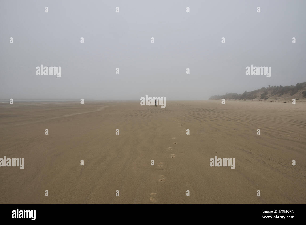 Leeren Strand, Surat Bay, die Catlins, Neuseeland Stockfoto