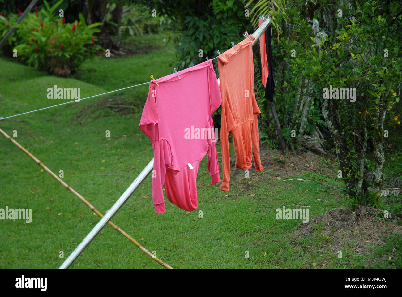Orange und Rosa tops hängend auf der Wäscheleine im Garten in Suva, Fidschi. Stockfoto