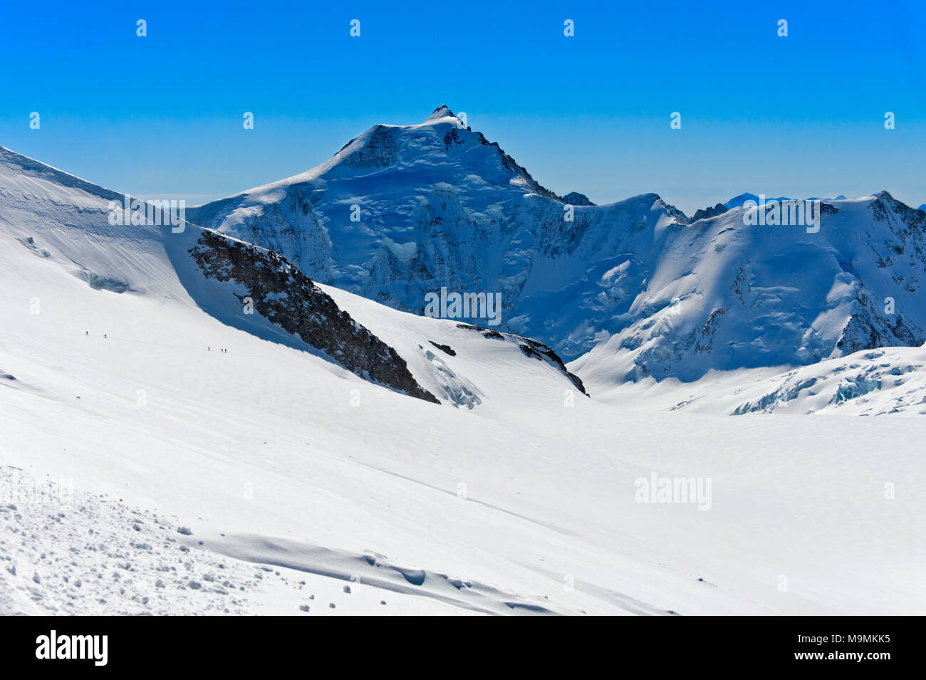 Die Schnee-bedeckten Aletschhorn, North Face, Berner Alpen, Region Jungfrau-Aletsch-Bietschhorn, Wallis, Schweiz Stockfoto