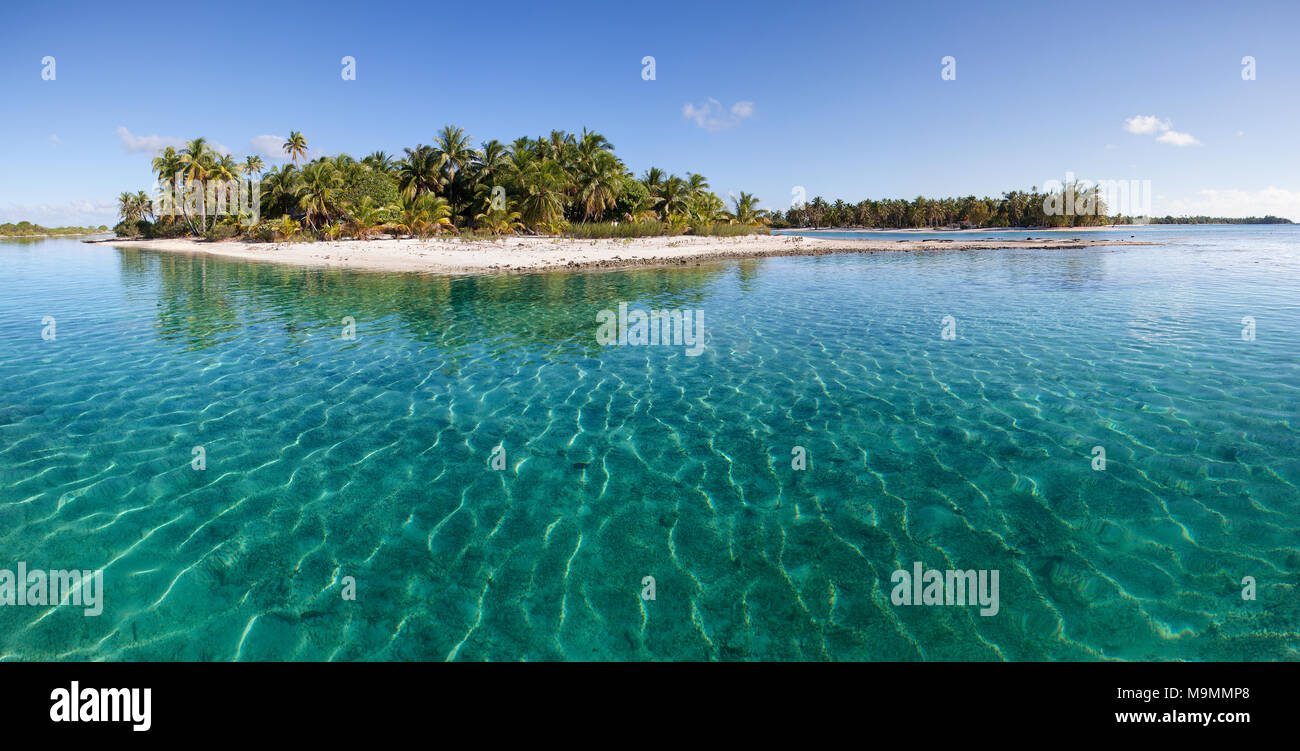 Einsame Insel, die in der Lagune, Strand mit Palmen, türkisfarbenes Wasser, Tikehau Atoll, Tuamotu-Archipel, Gesellschaft Inseln Stockfoto