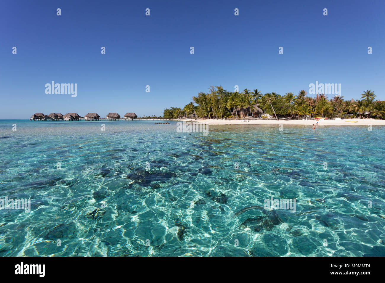 Bungalows Bungalows am Wasser in der Lagune, Tikehau Pearl Beach Resort, Tikehau Atoll, Tuamotu-archipel, Gesellschaft Inseln Stockfoto