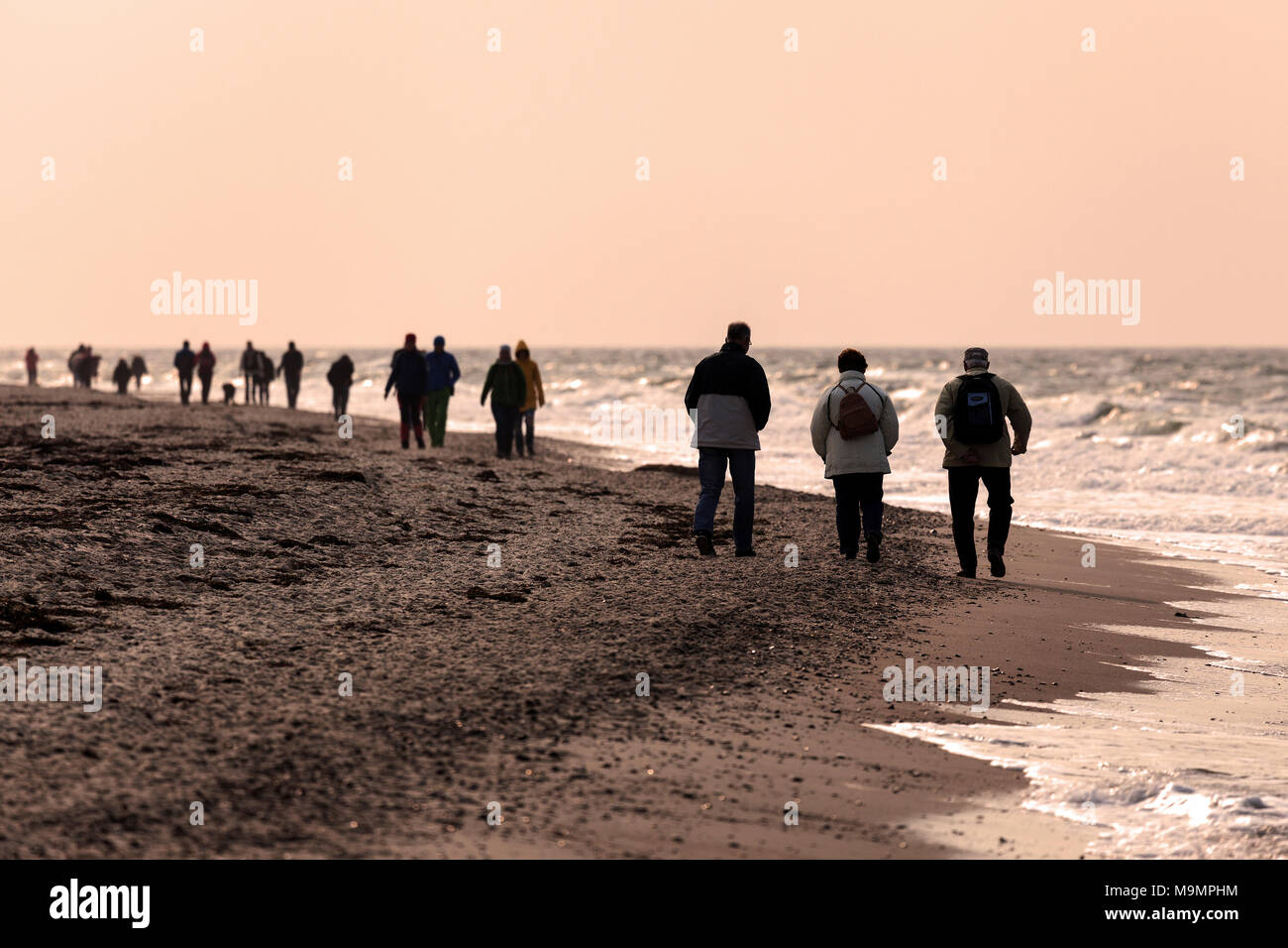 Menschen zu Fuß auf den Strand am Abend licht, Darßer Ort, Fischland-Darß-Zingst, Nationalpark Vorpommersche Boddenlandschaft Stockfoto
