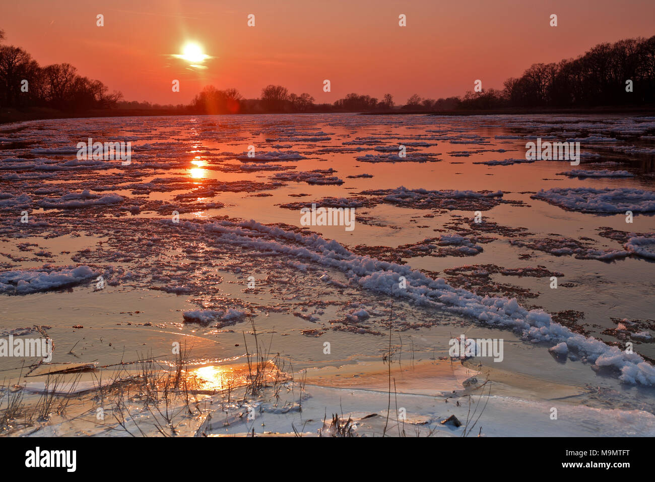 Eis laufen, kleine Eisschollen auf der Elbe bei Sonnenuntergang, Biosphärenreservat Mittlere Elbe, Dessau-Roßlau, Sachsen-Anhalt, Deutschland Stockfoto