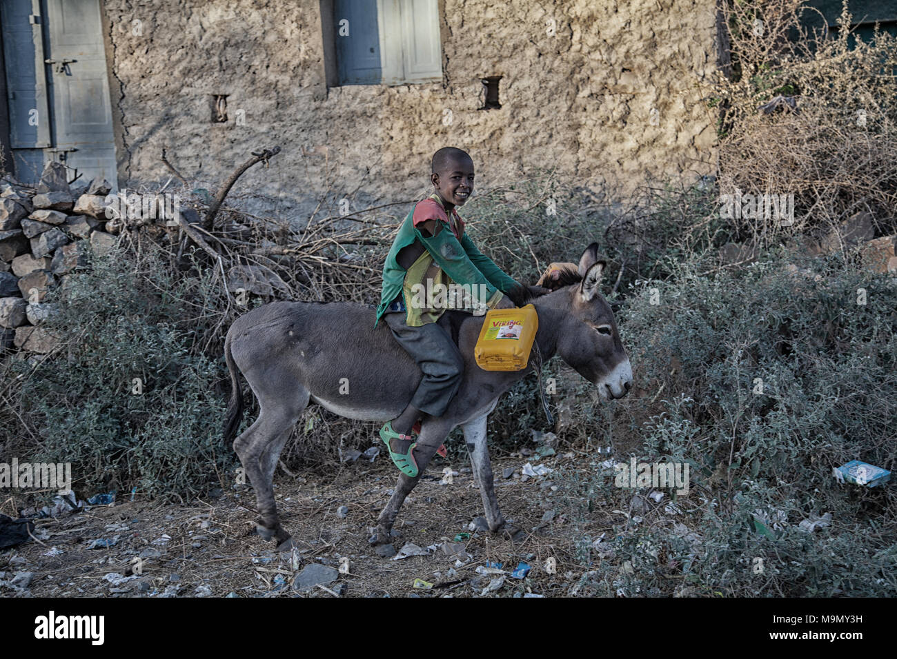Kind reitet auf einem Esel, in der Nähe von Mekele, Tigray Region, Äthiopien Stockfoto