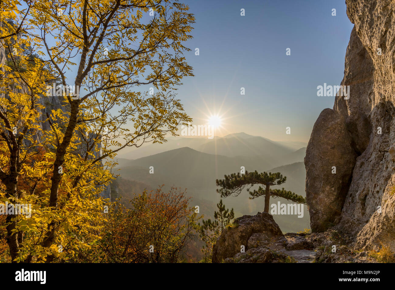 Herbst Landschaft, Berglandschaft, Couloir, Peilstein, Lower Austria, Austria Stockfoto