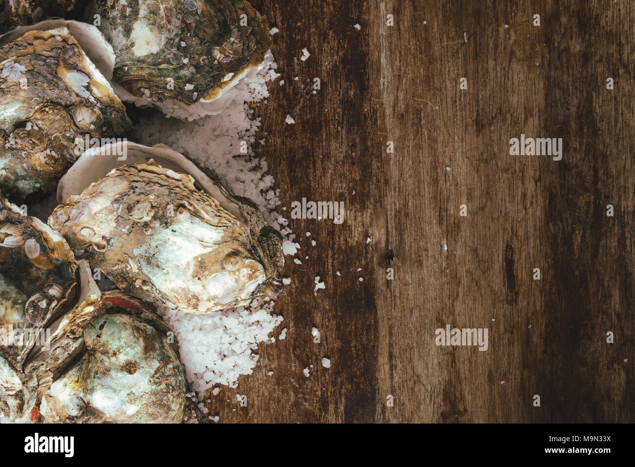 Dutzend frische Austern auf der Holz- und Meersalz. Ansicht von oben Stockfoto