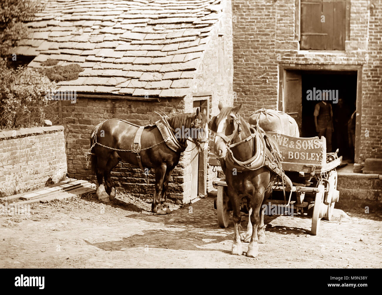Bosley Mühle, Cheshire, 1900 Stockfoto