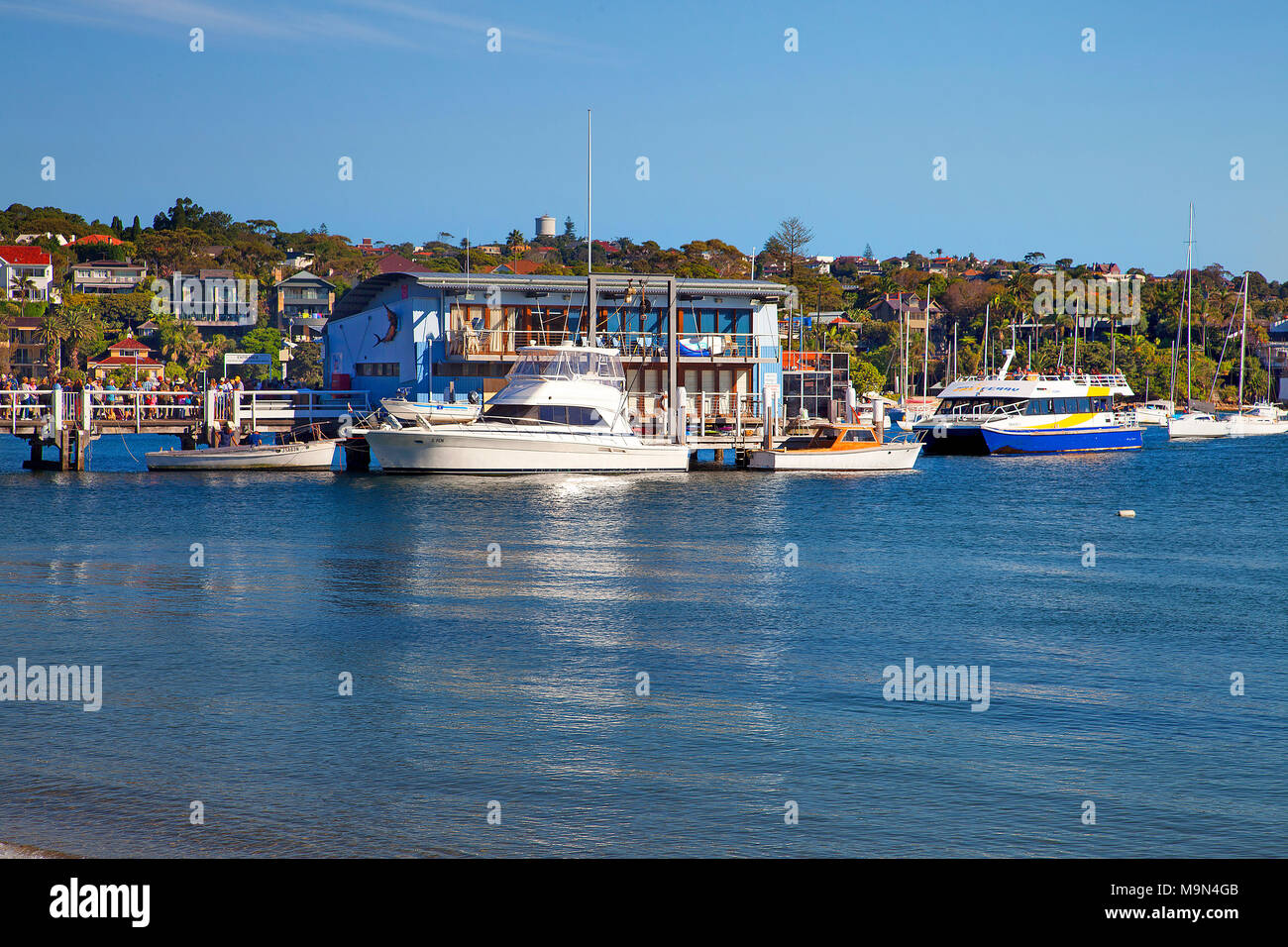 Watsons Bay Sydney NSW Australia Stockfoto