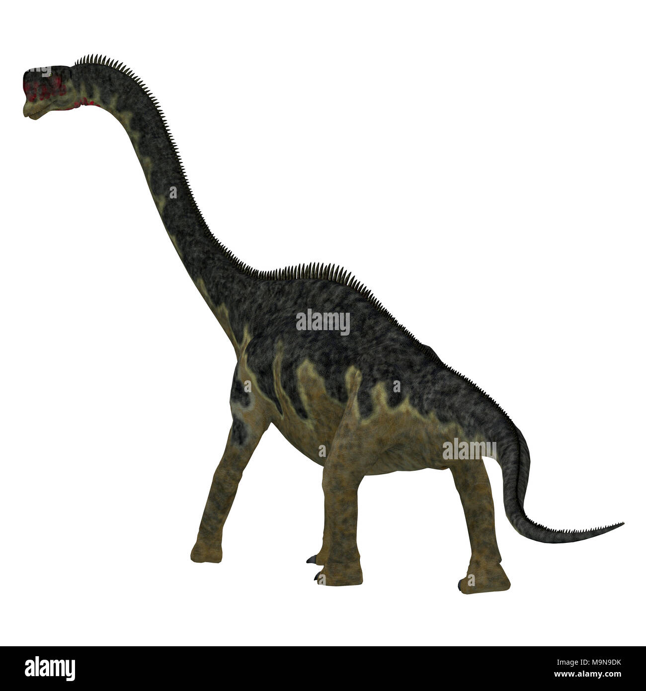 Dinosauriers europasaurus Schwanz - europasaurus war ein Sauropoden pflanzenfressende Dinosaurier, der in Deutschland lebte, Europa während der Jurazeit. Stockfoto