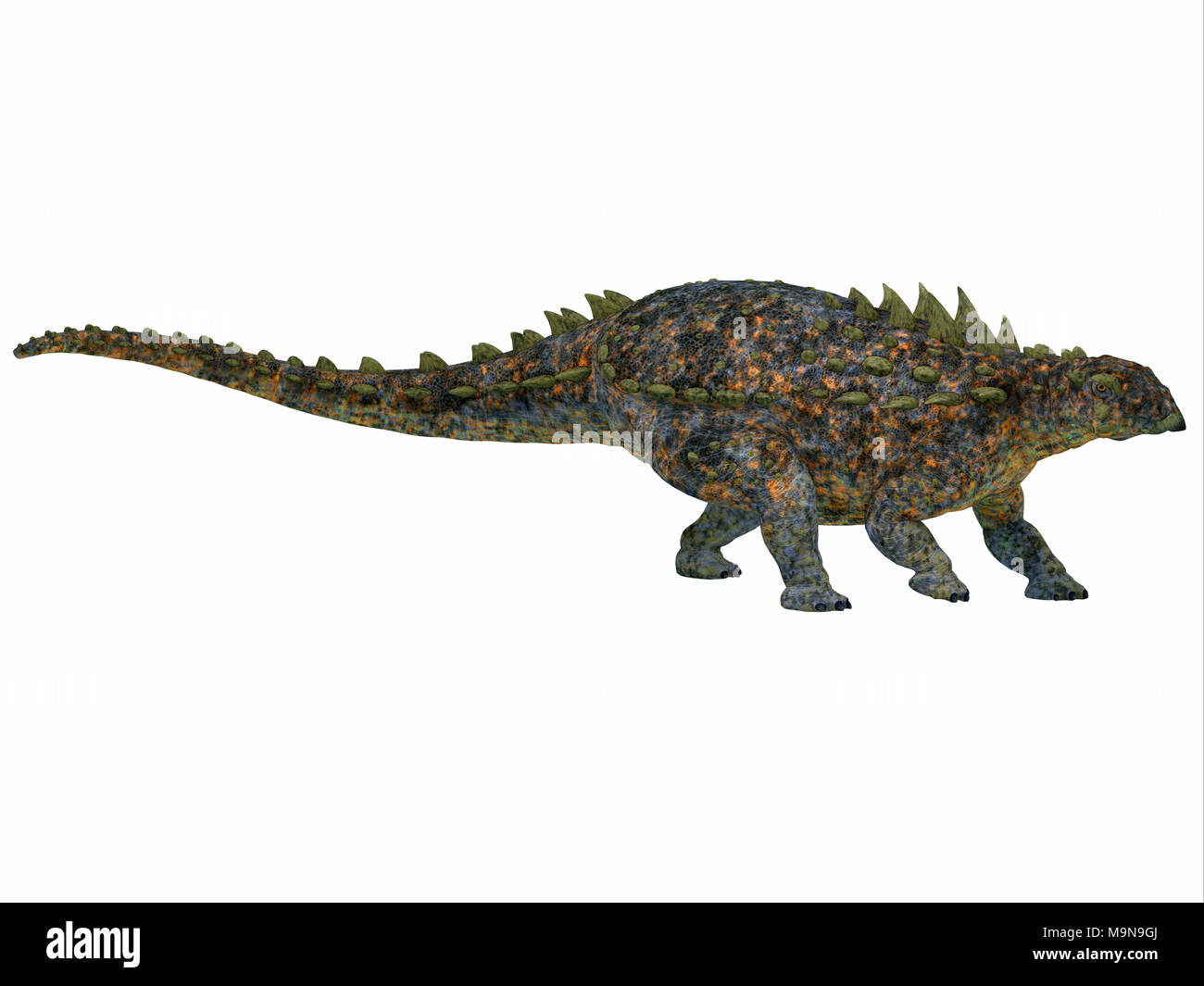 Polacanthus Dinosaurier Seite Profil - Polacanthus war eine gepanzerte pflanzenfressende Dinosaurier, die in Europa während der Kreidezeit lebten. Stockfoto