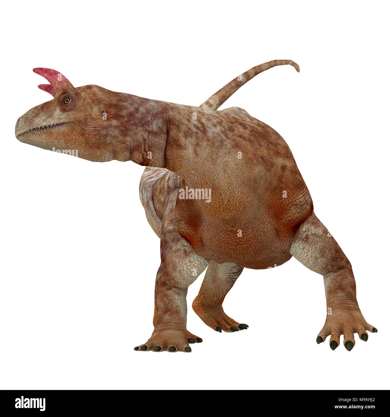 Shringasaurus Dinosaurier auf Weiß - Shringasaurus war ein Pflanzenfressenden sauropoden Dinosaurier, die in Indien in der Trias lebte. Stockfoto