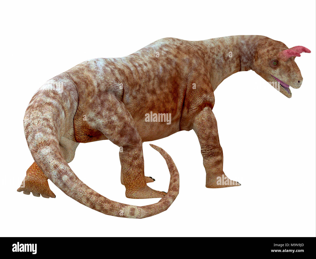 Shringasaurus Dinosaurier Schwanz - Shringasaurus war ein Pflanzenfressenden sauropoden Dinosaurier, die in Indien in der Trias lebte. Stockfoto