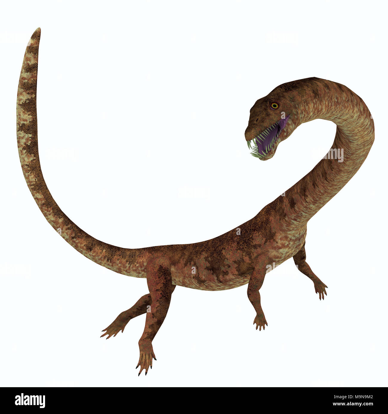 Tanystropheus Tanystropheus Dinosaurier Seite Profil - war ein Marine räuberische Reptilien, die in der Trias Meere Europas und des Nahen Ostens lebten. Stockfoto
