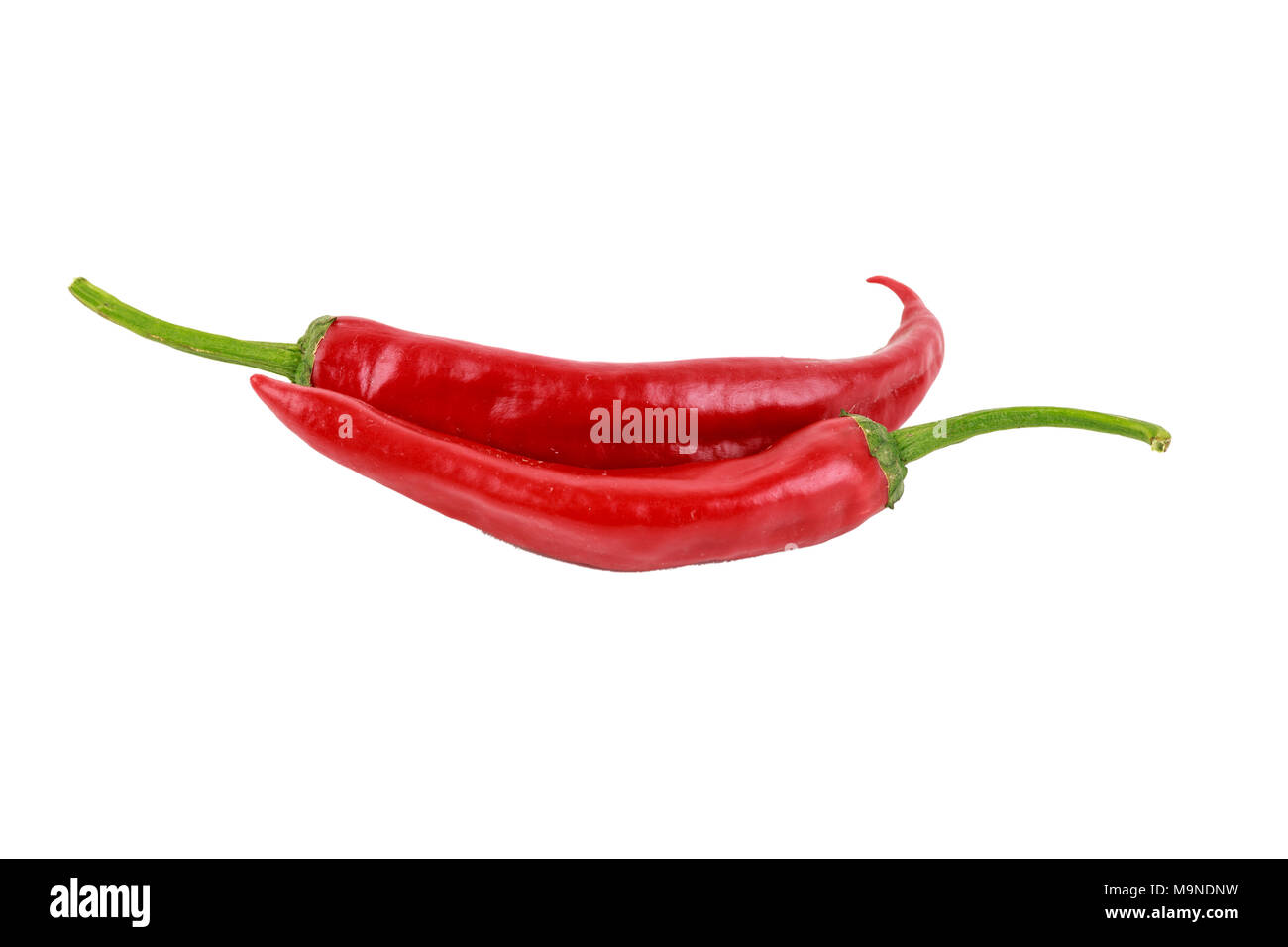 Chili auf weißem Hintergrund Stockfoto