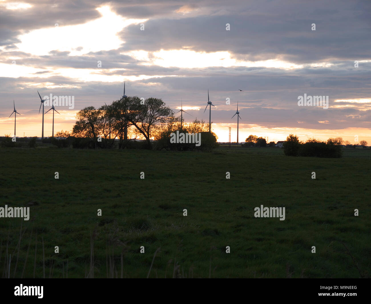 Sonnenuntergang über der Windkraftanlagen, Mablethorpe, Lincolnshire Stockfoto