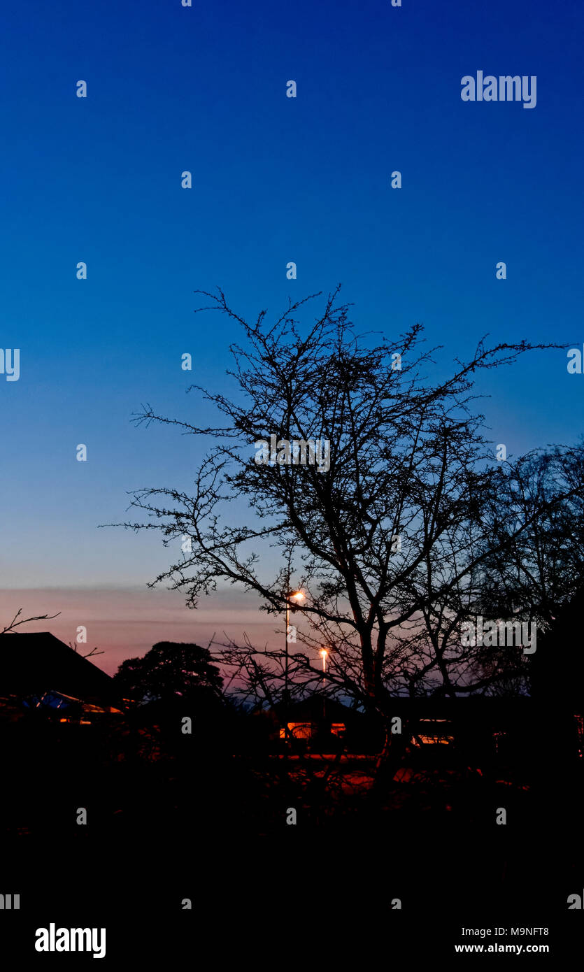 Ein winter Sonnenuntergang in einer Vorstadtstraße Stockfoto