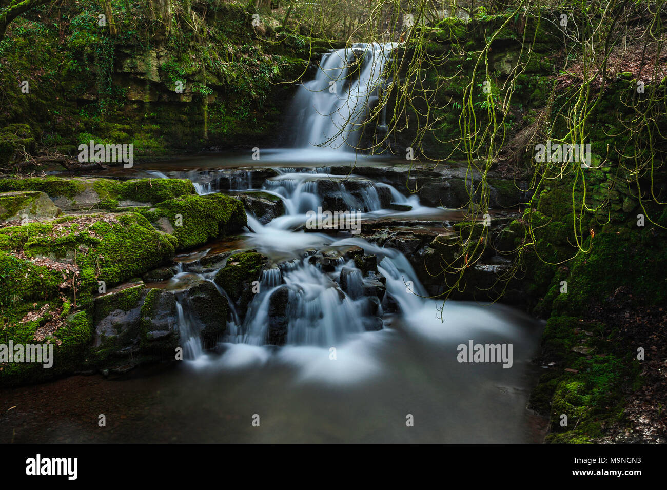 Ffrwdgrech fällt sie auf der Nant Cwm Llwch (Fluss). Stockfoto