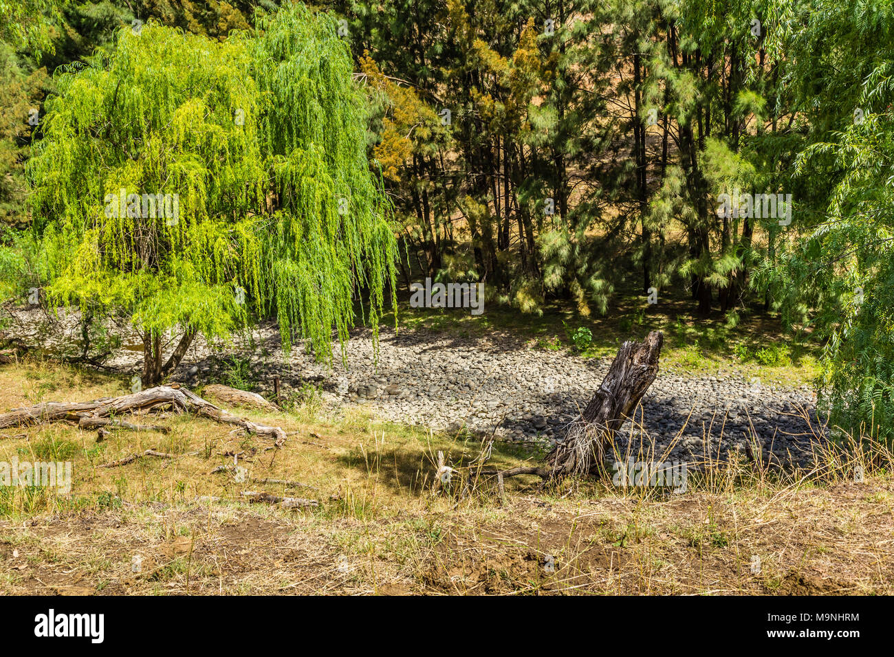 Blick auf den Hunter River, Upper Hunter, NSW, Australien, als von Glocken Brücke, im Februar 2018, während der Zeit der Dürre. Stockfoto