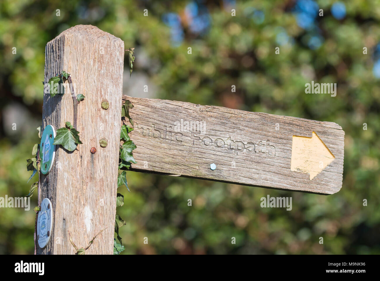 Holz- öffentlichen Fußweg finger post Zeichen in der Britischen Landschaft in England, Großbritannien. Stockfoto