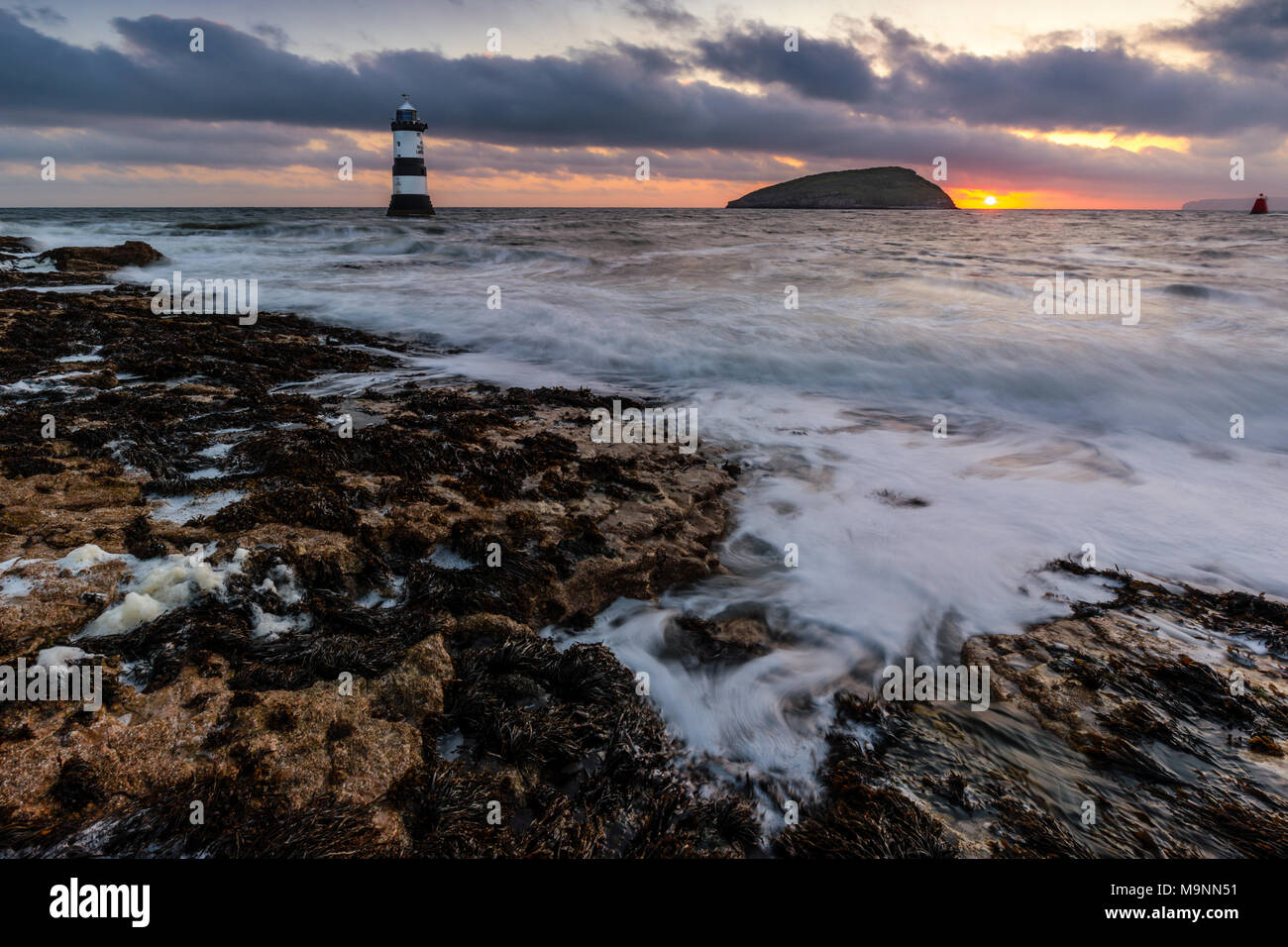 Die Trwyn Du Leuchtturm wacht über die tückischen Gewässer zwischen Penmon Point und Papageitaucher Island, South East Anglesey, Wales, Großbritannien Stockfoto