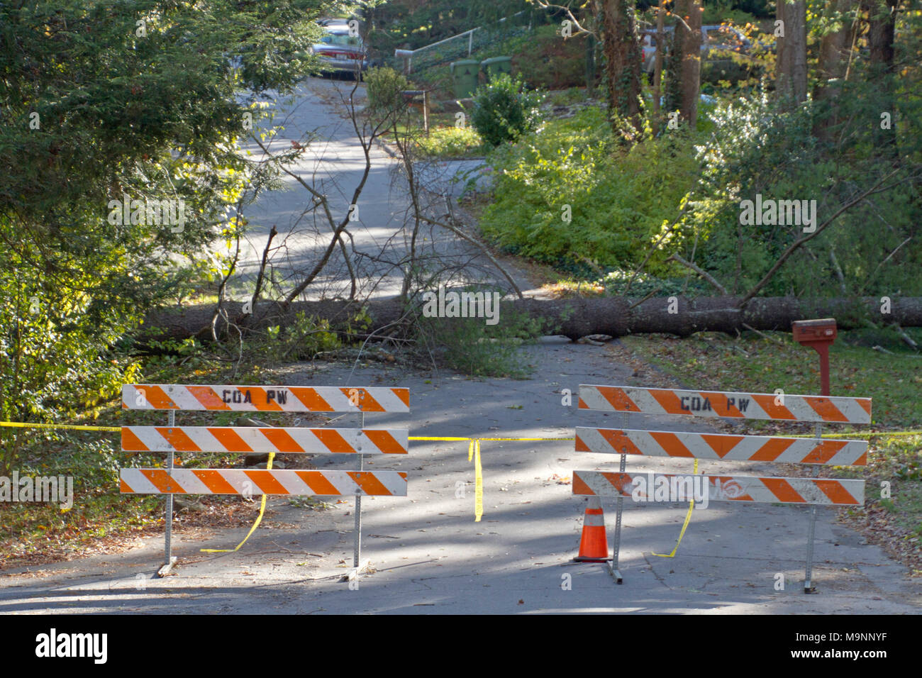 Gelbe Band und eine Straßensperre Zaun blockieren den Zugriff auf einer Straße, wo ein großer Baum und Utility Adern über es gefallen Stockfoto