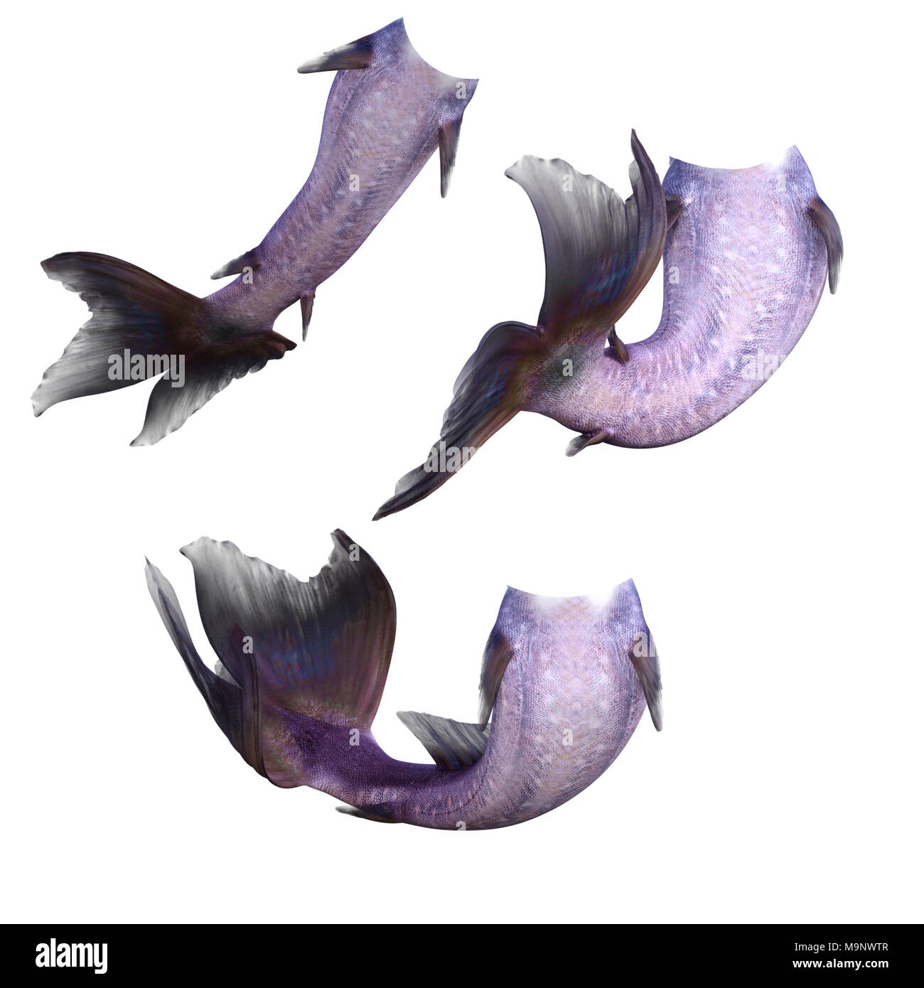 Satz von Lila mermaid Schwänze auf Weiß, 3D-Render isoliert. Stockfoto