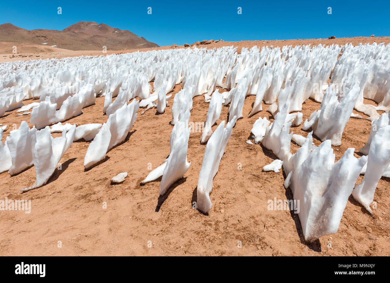 Eis Formationen durch Erosion in der Siloli Wüste zwischen der Atacama-Wüste von Chile und den Salzsee von Uyuni, Bolivien, Südamerika zu wickeln. Stockfoto
