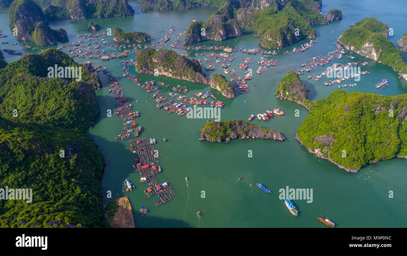Cat Ba Insel von oben. Lan Ha Bucht. Hai Phong, Vietnam Stockfoto