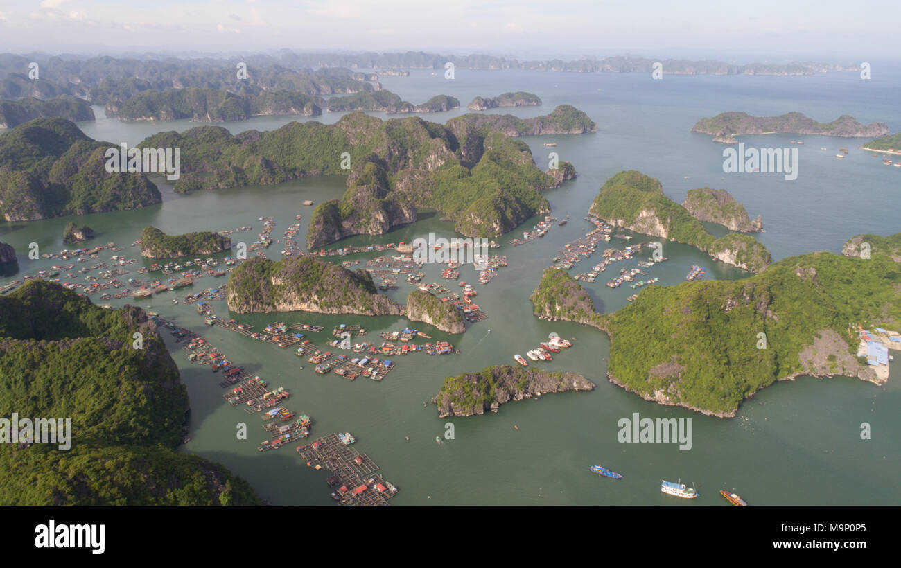 Cat Ba Insel von oben. Lan Ha Bucht. Hai Phong, Vietnam Stockfoto