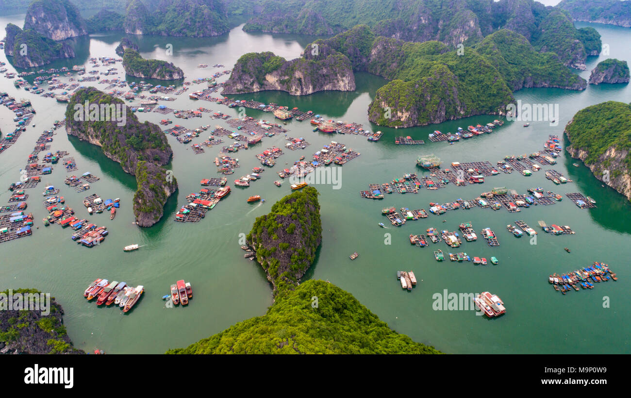 Cat Ba Insel von oben. Lan Ha Bucht. Hai Phong, Vietnam Stockfoto