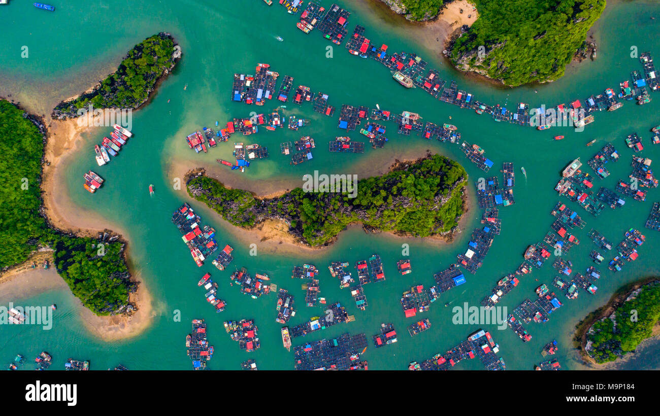 Cat Ba Insel von oben. Lan Ha Bucht. Hai Phong, Vietnam Stockfoto