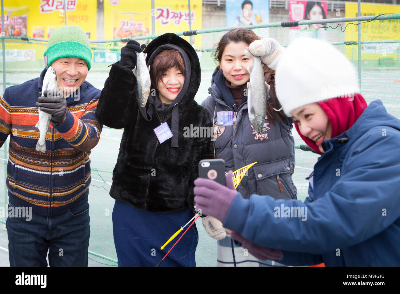 Eine Koreanische Vater und seine zwei Töchter unter ein Foto von den frisch gefangenen Fisch am Hwacheon Sancheoneo Ice Festival. Die Hwacheon Sancheoneo Ice Festival ist eine Tradition für die Menschen in Korea. Jedes Jahr im Januar Menschenmassen versammeln sich auf dem zugefrorenen Fluss der Kälte und dem Schnee des Winters zu feiern. Hauptattraktion ist Eisfischen. Jung und Alt warten geduldig auf ein kleines Loch im Eis für eine Forelle zu beißen. In zelten Sie können den Fisch vom Grill, nach dem sie gegessen werden. Unter anderem sind Rodeln und Eislaufen. Die in der Nähe Pyeongchang Region wird Gastgeber der Olympischen Winterspiele in Stockfoto