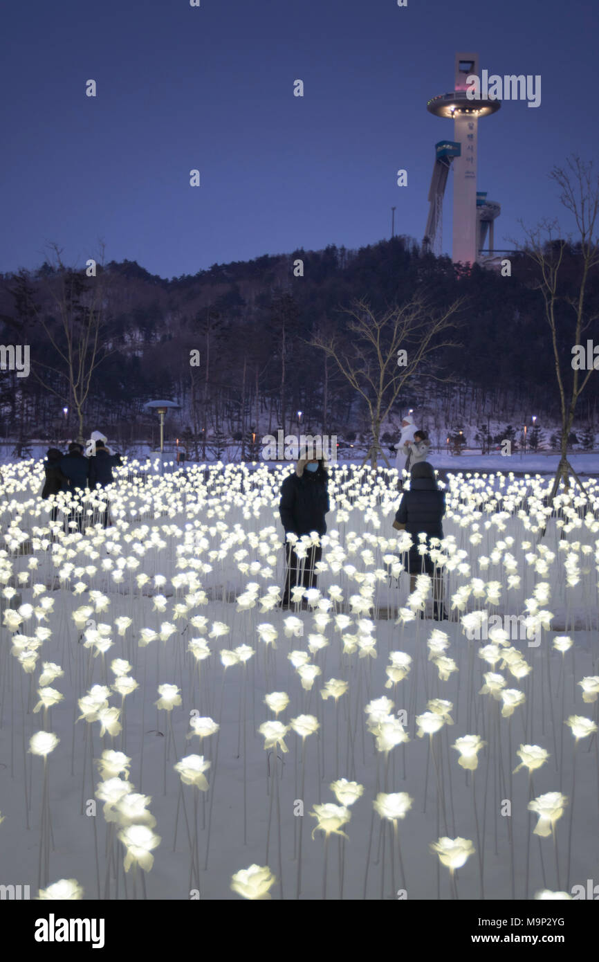 Abendstimmung an der Basis der Olympischen Skispringen Turm von alpensia Resort in Südkorea. Die alpensia Resort ist ein Skigebiet und eine touristische Attraktion. Es ist auf dem Gebiet der Gemeinde von daegwallyeong-myeon befindet sich in der Grafschaft von Pyeongchang, die Olympischen Winterspiele hosting im Februar 2018. Das Skigebiet ist ca. 2,5 Stunden von Seoul oder Incheon Airport mit dem Auto, überwiegend alle Autobahn. Alpensia hat sechs Pisten für Ski und Snowboard, mit bis zu 1,4 km (0.87 mi) lang, für Anfänger und Fortgeschrittene, und ein Bereich für Snowboarder vorbehalten. Während die Stockfoto